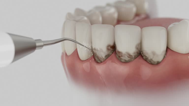 Reliable Dental contractor in Baldwin, MI by Dentist Open Now